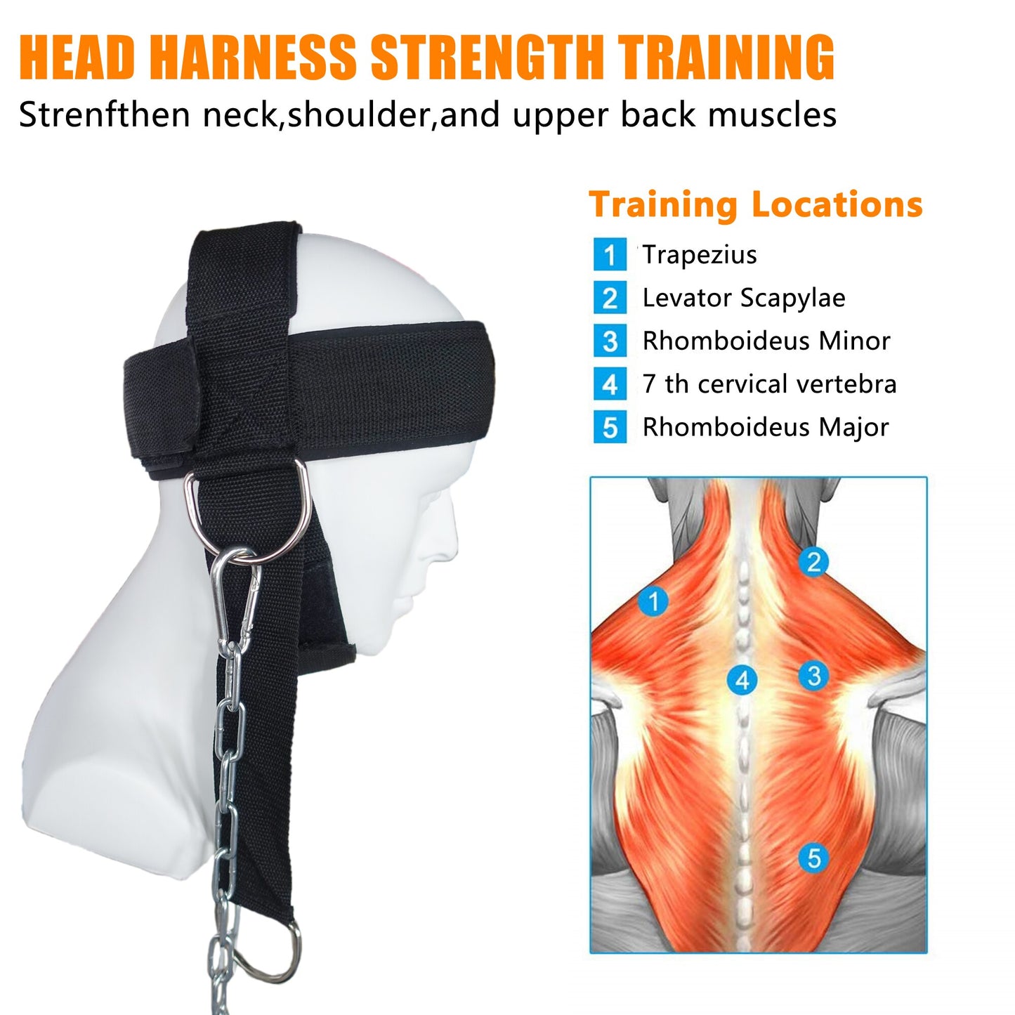 Head Neck Lifting Strap with Chain Adjustable Head Harness